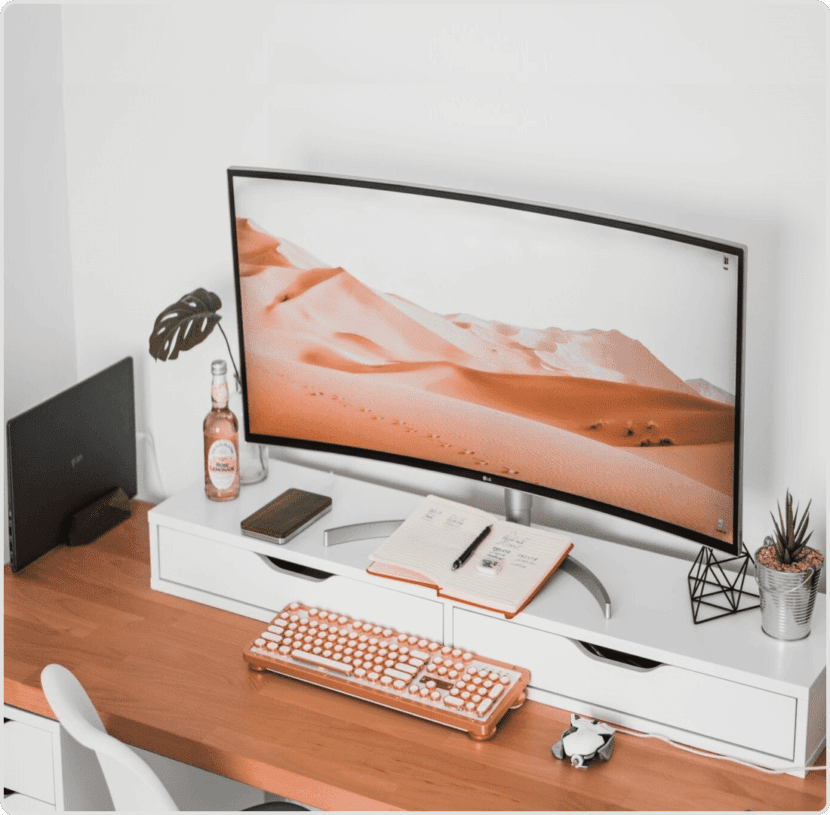 Monitor Profesional